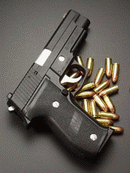 シグ P 226